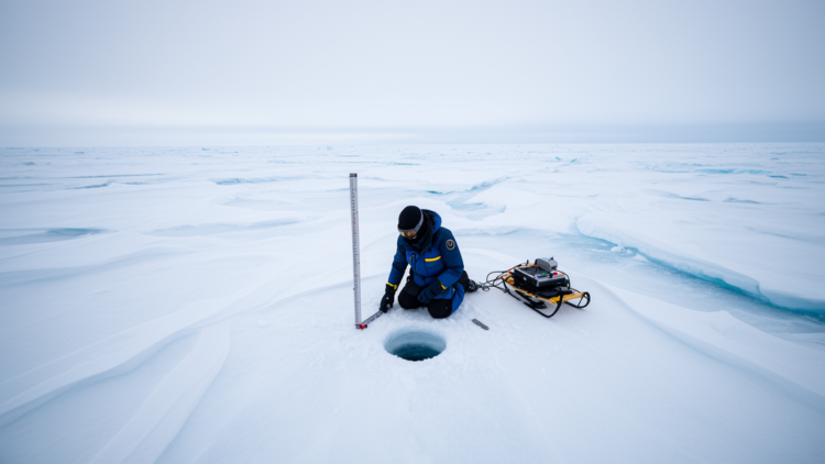 Antarctic Sea Ice Snow Varies Over Meters, Not Kilometers, Machine-Learning Study Finds