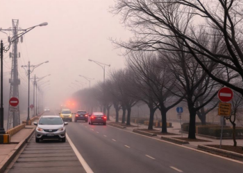 Dirty Air, Rising Diabetes: Global Analysis Links Pollution to Type 2 Diabetes Risk