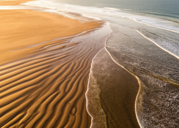 Sandy Beaches Behave as Chaotic Oscillators, Satellite Records Reveal
