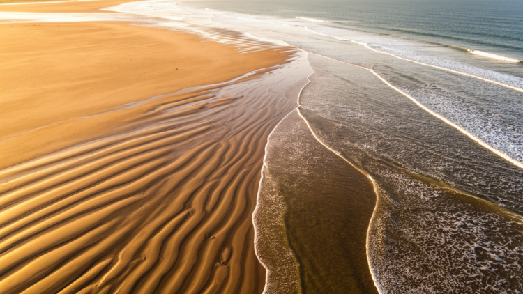 Sandy Beaches Behave as Chaotic Oscillators, Satellite Records Reveal