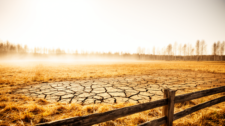 When Dry Ground Turns Up the Heat: Inside Sweden’s 2018 Heatwave Feedback Loop
