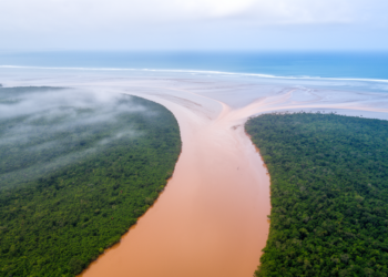 Rivers Carry a Quarter of Land’s Carbon to the Sea, but the Numbers Remain Shrouded in Uncertainty