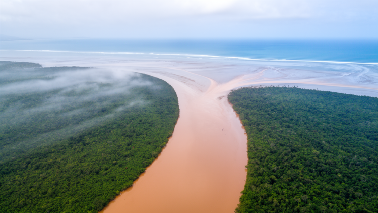 Rivers Carry a Quarter of Land’s Carbon to the Sea, but the Numbers Remain Shrouded in Uncertainty