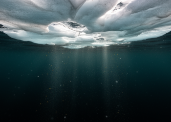 Polar oceans quietly lock away carbon, yet climate policy still overlooks them