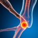 Citrus-Derived Flavonoid Didymin Shows Promise for Healing Tendon-Bone Injuries