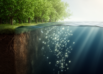NASA’s New Earth System Model Tracks Carbon From Forest Canopy to Ocean Depths