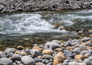 Single Grains of Gravel Turn Mountain River Chaos Into a Predictable Science
