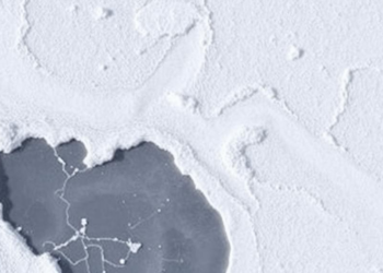 Random Noise in the Ice: How Stochastic Perturbations Sharpen Seasonal Forecasts