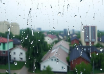 Hidden in the Rain: Serbia’s Shifting Rainfall Predictability Reveals Climate Fingerprints