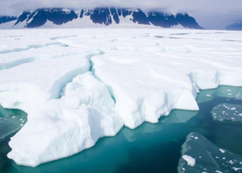 Alaska’s Juneau Icefield Is Losing Its Sponge: Firn Thins, Warms, and Sends Meltwater Straight to the Sea