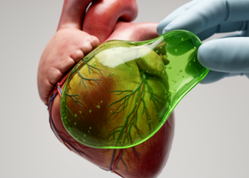 Chlorophyll Turns Fragile Hydrogels Into Squeezable Cardiac Patches