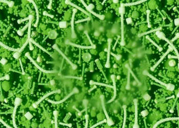 Aged Plastic Particles Turn a Common Herbicide Into a Far Deadlier Threat to Freshwater Life