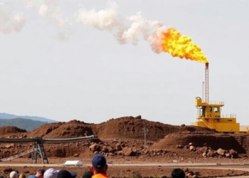 Why Some Fossil Fuel Campaigns Win: New Study Reveals the Power of Deactivation Networks