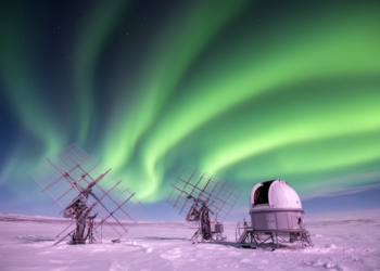 Auroral Arcs Reveal First Observations of ULF Waves Driving Ion Upflow