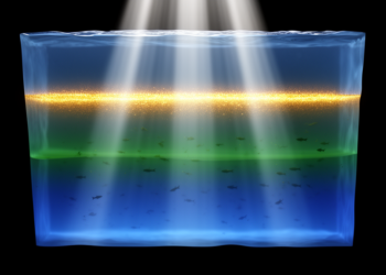 New Ocean Model Tracks Light in Three Streams to Simulate Black Sea Ecosystems