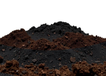 Magnetic Trick Reveals That Rising Soil Carbon May Be an Illusion