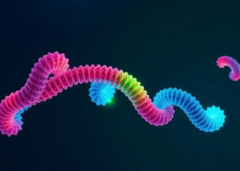 Fluorine Probes Reveal Hidden Side-Chain Rotamers in a Model Protein
