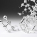 Seaborgium Carbonyl Reveals Relativistic Bond Weakening in the Heaviest Elements