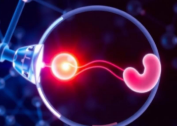 Causal AI Predicts IVF Success and Reveals Which Changes Actually Help