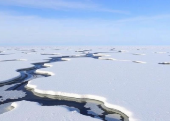 Deep Thaw in the High Arctic Exposes Vulnerable Soil Carbon, Study Finds