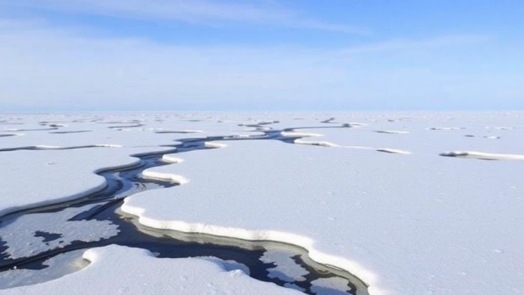 Deep Thaw in the High Arctic Exposes Vulnerable Soil Carbon, Study Finds