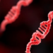 mRNA Vaccines Deliver Lasting Protection Against Tapeworm Disease