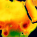 Genomic Maps and Landscape Models Aim to Sharpen Africa’s Tsetse Eradication Campaigns