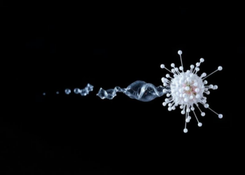 Particle Engineering and Formulation Science Drive the Next Generation of Drug Delivery