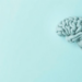 Brain Tumor Survivors Map Their Shifting Symptom Journey From Diagnosis to Daily Life