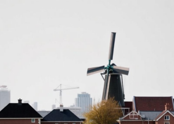 Techno-Optimist Promises: How the Netherlands Plans to Fix Its Protein Problem Without Changing It