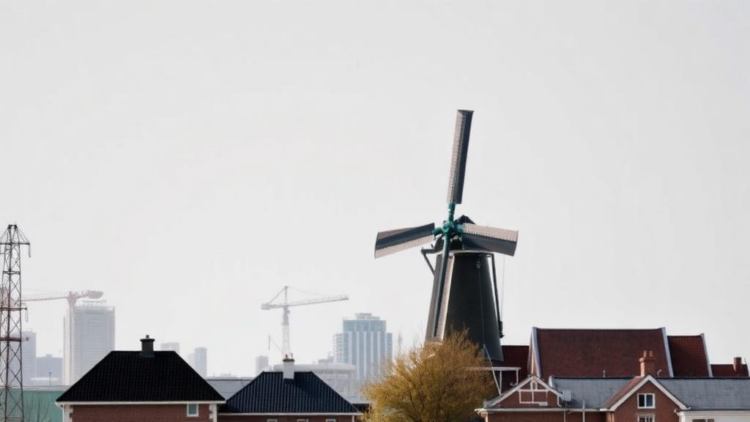 Techno-Optimist Promises: How the Netherlands Plans to Fix Its Protein Problem Without Changing It