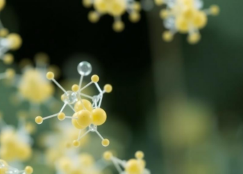 Folate-Tweaked Chitosan Nanoparticles Emerge as Precision Cancer Delivery Workhorses