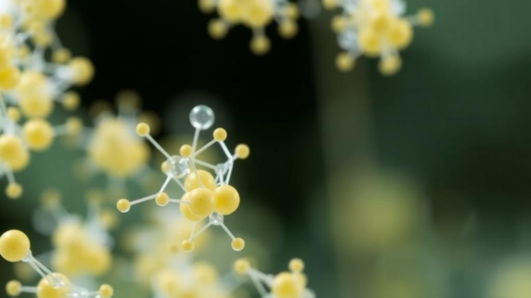 Folate-Tweaked Chitosan Nanoparticles Emerge as Precision Cancer Delivery Workhorses
