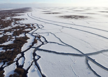 Drone surveys reveal Arctic permafrost collapse accelerating tenfold in Swedish mire