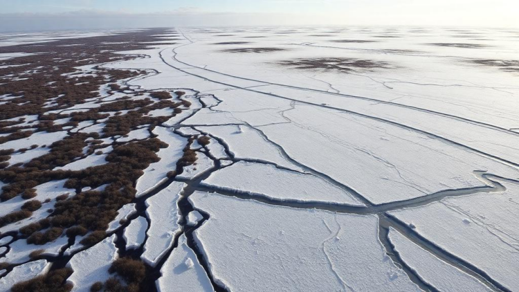 Drone surveys reveal Arctic permafrost collapse accelerating tenfold in Swedish mire