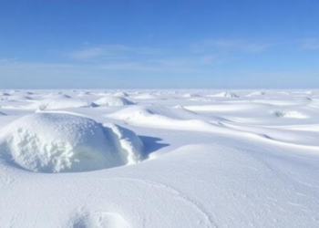 Missing Microbes Could Supercharge Permafrost Greenhouse Gas Emissions