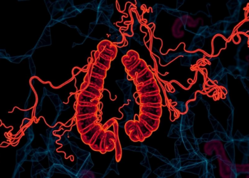 Chromatin maps reveal two hidden states driving colorectal cancer