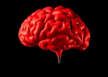 Childhood Trauma Leaves a Lasting Imprint on the Brain’s Excitation-Inhibition Balance