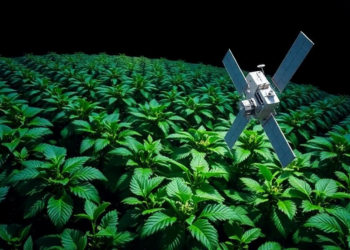 AI Helps Satellites Watch Plants Breathe, Revealing Hidden Irrigation from Space