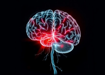 Anxious Minds, Broken Shoulders: Brain Circuit Revealed Linking Anxiety to Failed Tendon Healing