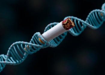 Gene Variants That Detoxify Tobacco Carcinogens Reshape Oral Cancer Risk