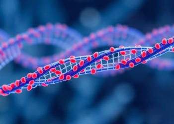 Machine Learning Framework Distills Crohn’s Disease Risk From Half a Million Genetic Variants