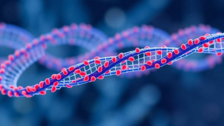 Machine Learning Framework Distills Crohn’s Disease Risk From Half a Million Genetic Variants