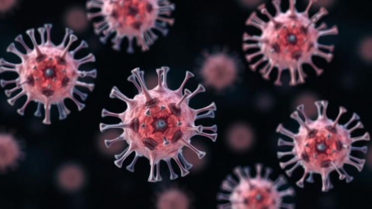 When immune cells switch sides: unstable T cells drive gum disease bone loss