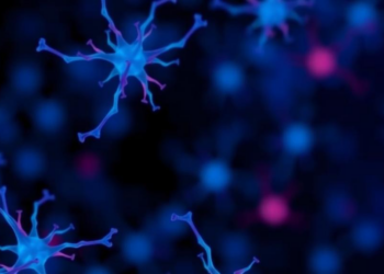 Scientists Discover Twelve New Autoantibody Signatures Linked to Parkinson’s Disease