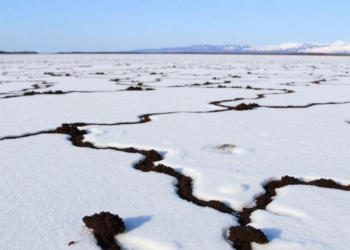 Alaska’s Permafrost Soils Are Warming Faster Than Anywhere Else in the State