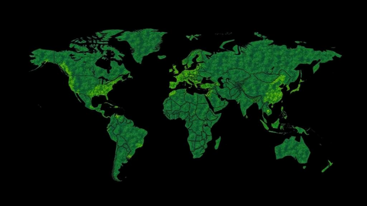 Crop and Forest Waste Could Reshape the Global Energy Map, Study Finds