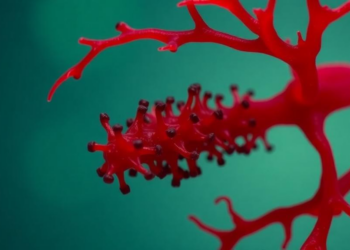 Hidden Nitrogen-Fixing Bacteria Found Living Inside a Commercial Red Seaweed