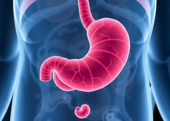 Common Stomach Bacterium Linked to Poorer Survival in Cancer Immunotherapy Patients