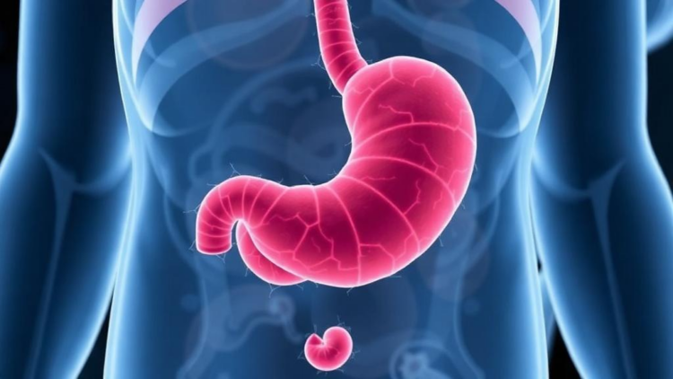 Common Stomach Bacterium Linked to Poorer Survival in Cancer Immunotherapy Patients